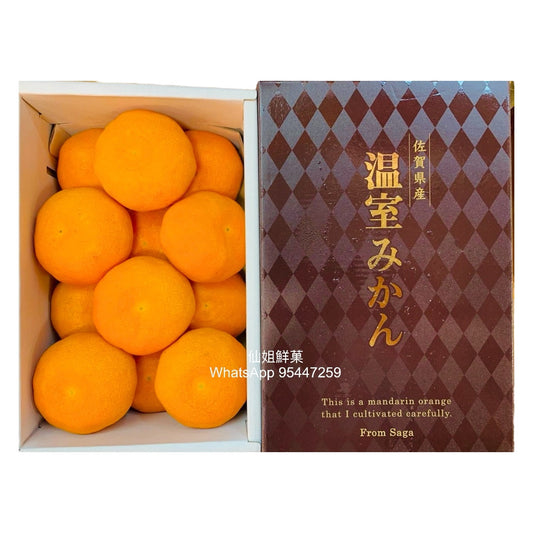 日本 佐賀 溫室蜜柑禮盒