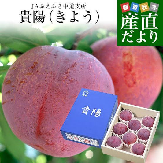 日本 山梨 貴陽梨禮盒 1.8KG