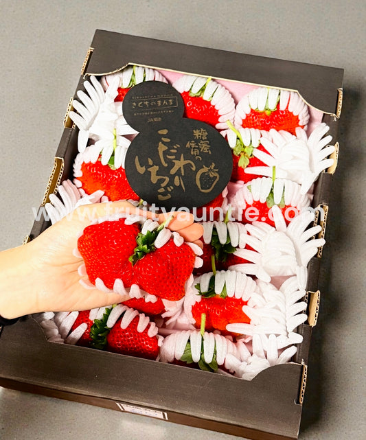 【限量🍓‼️15裝最大size】日本 熊本菊池糖蜜士多啤梨禮盒