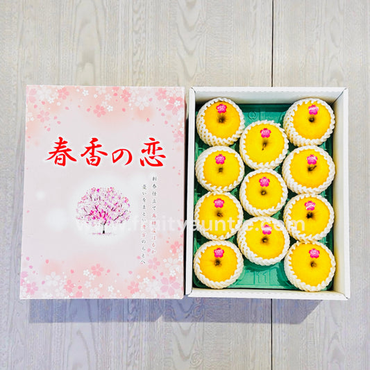 日本 岩手縣 春香の戀蘋果禮盒 (11個)