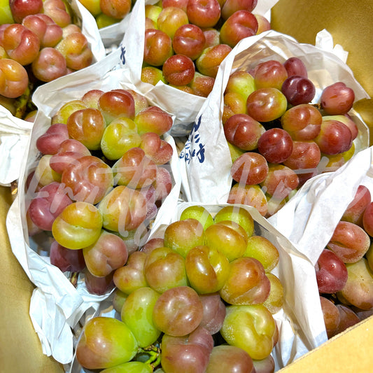 日本 岡山心型提子 (束)
