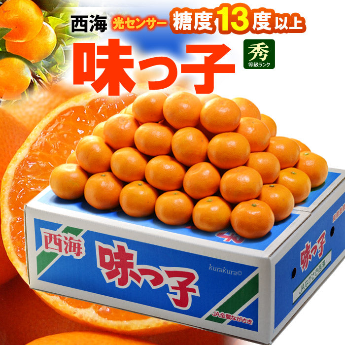 日本 長崎 西海蜜柑（磅）