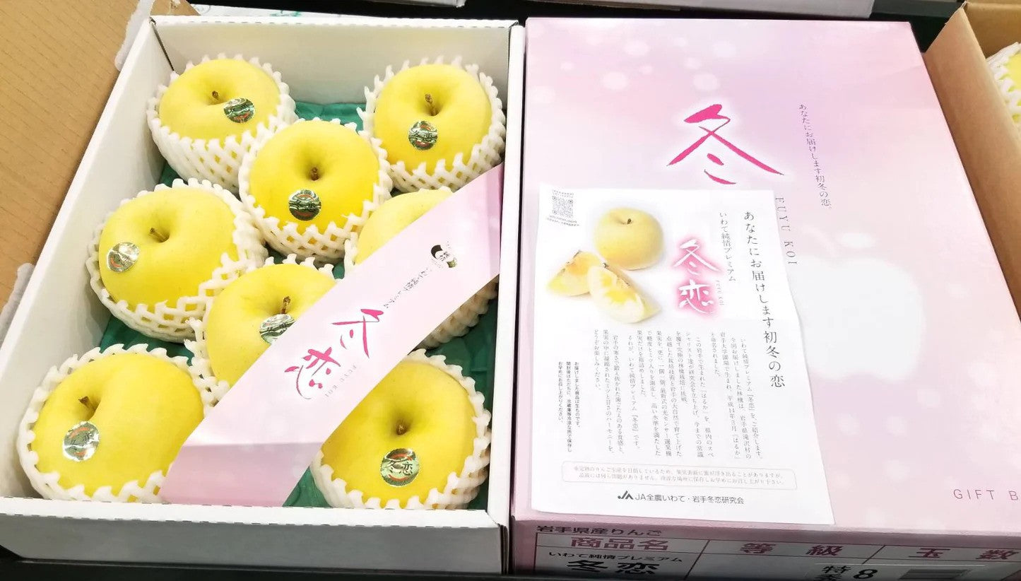 【原箱】日本岩手冬戀蘋果禮盒（8-12個）