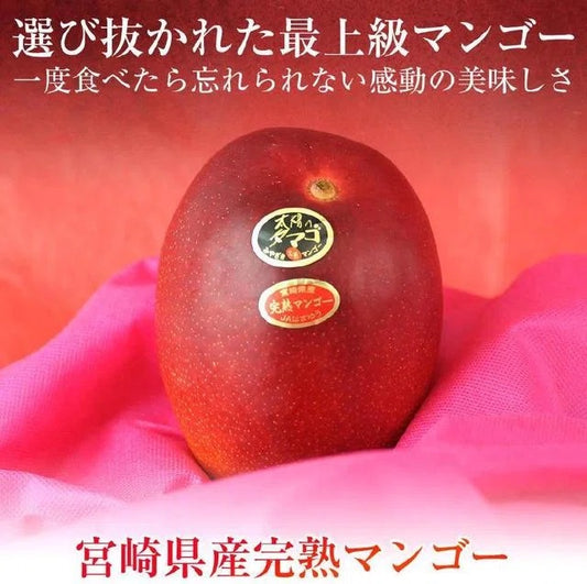 【原盒】 日本 宮崎 太陽之子芒果禮盒