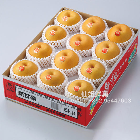 【原箱】日本 鳥取新甘泉梨 5KG