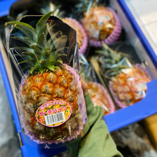 日本 沖繩 桃香菠蘿