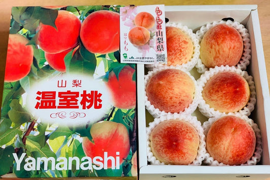 日本 山梨 溫室桃禮盒