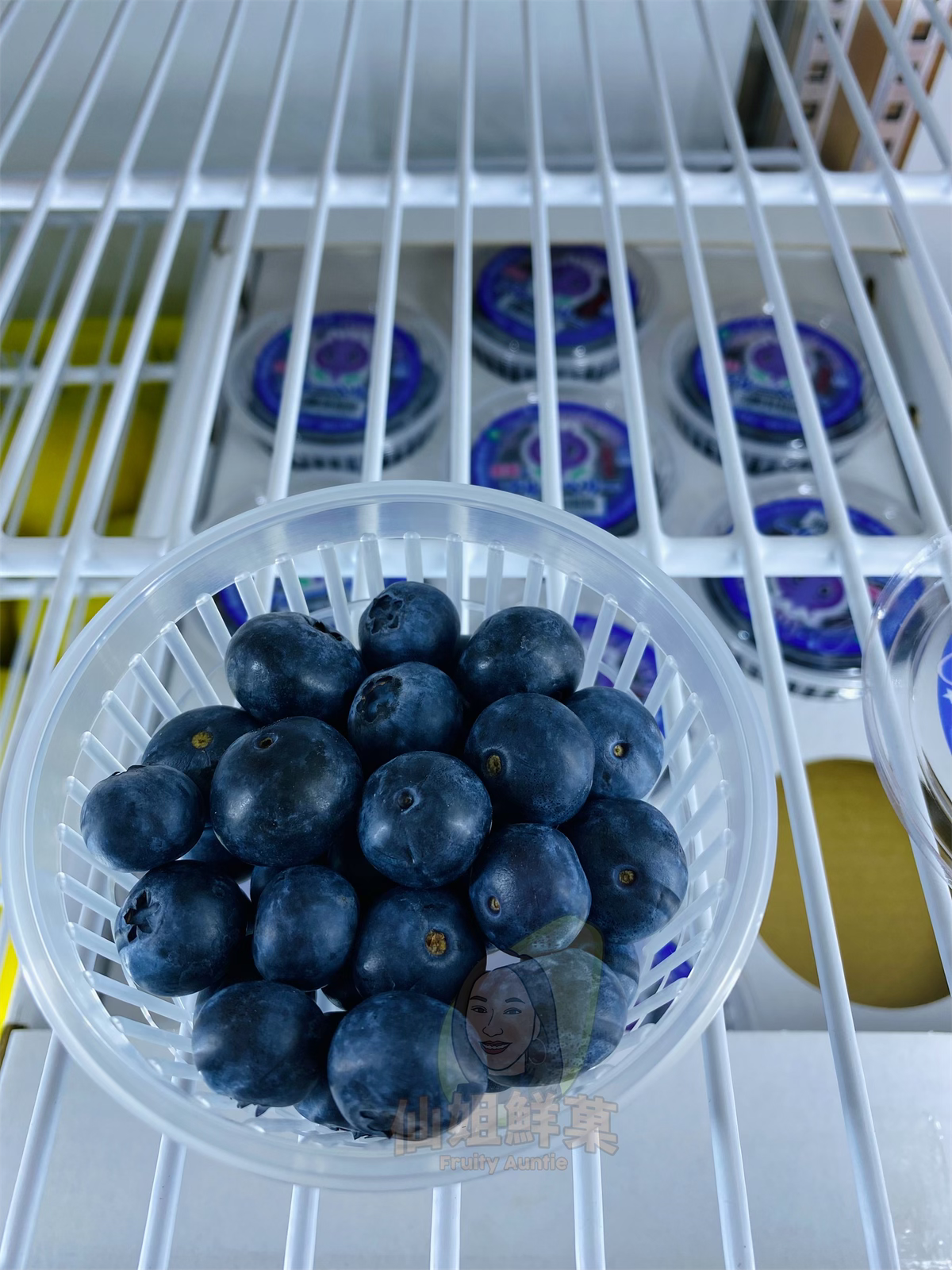 日本 愛媛 藍莓